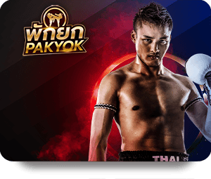 User Experience and Interface of Nova88 Casino Royal